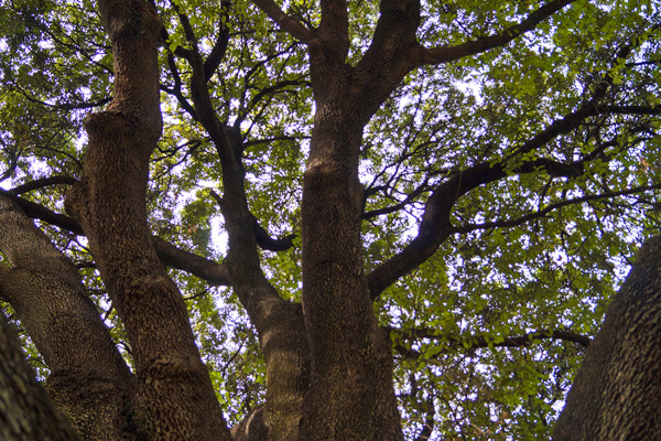 Athens for kids - family activity in Athens