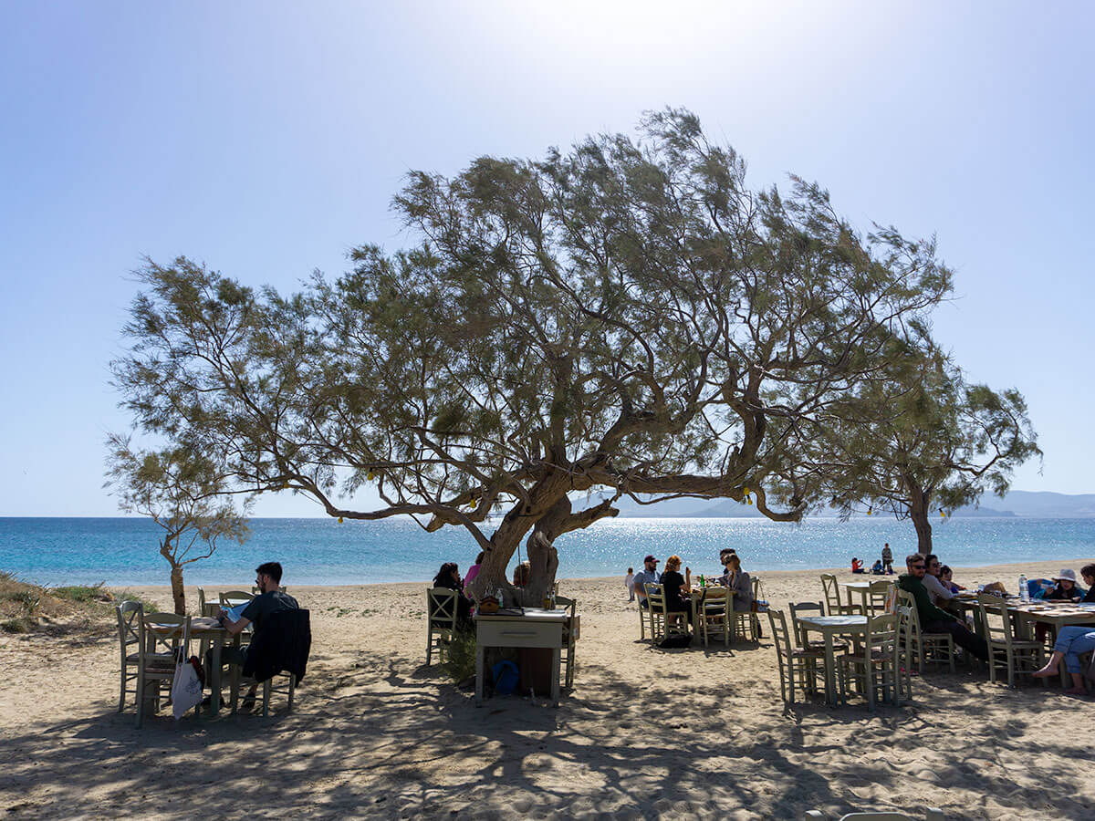 Related tour image 5