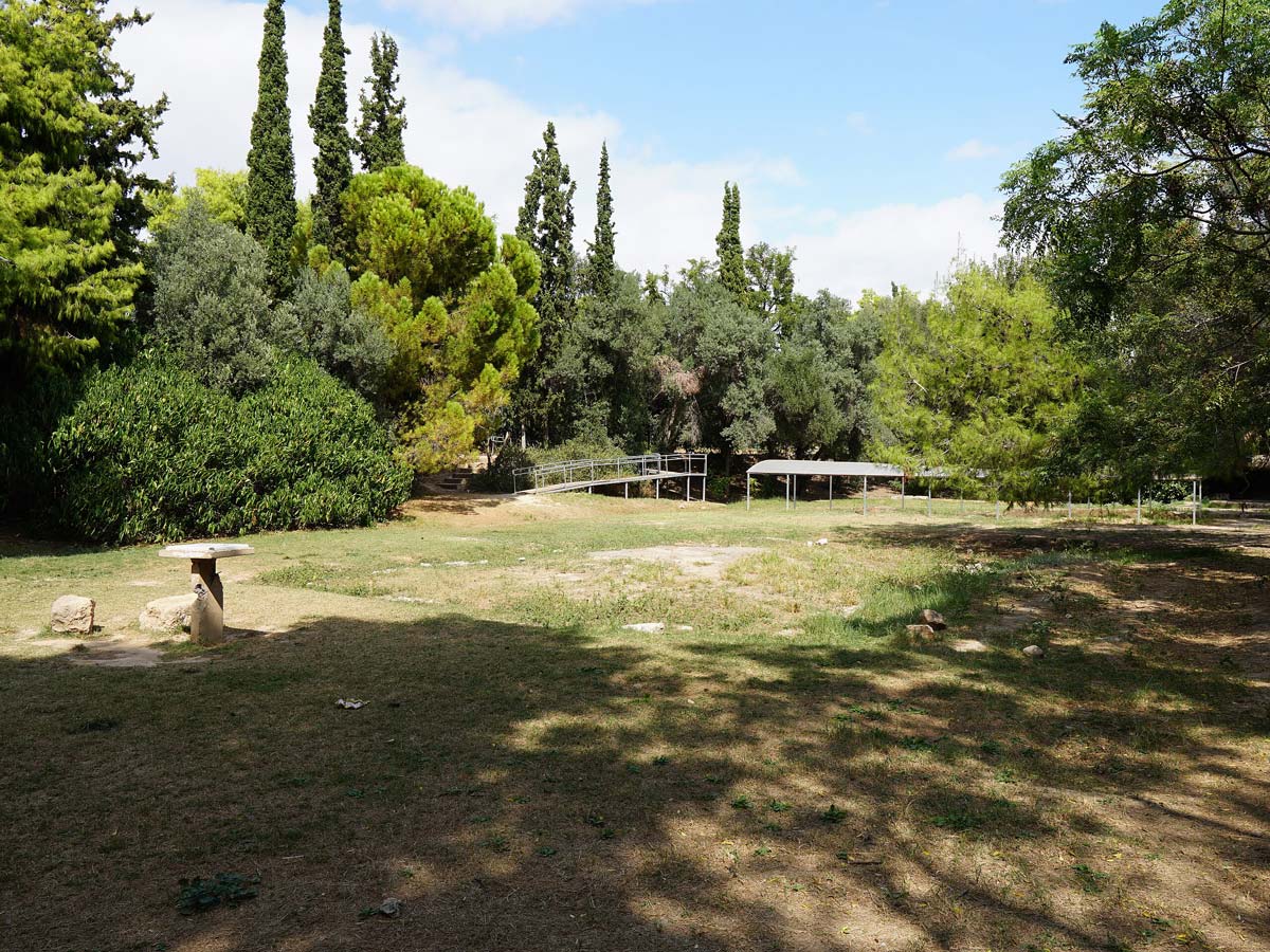 Philosophy tour of the Academy of Plato in Athens